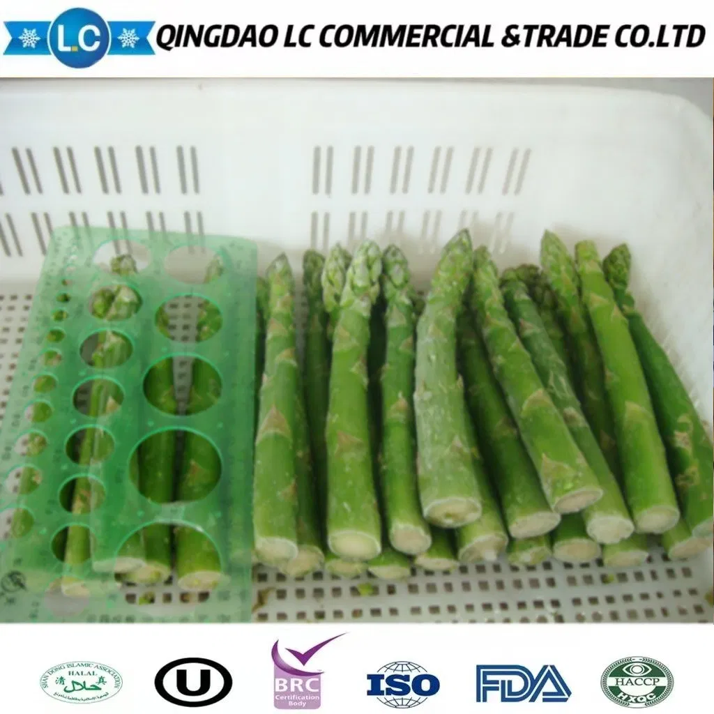 2025 Espárragos Verdes Congelados IQF de Alta Calidad