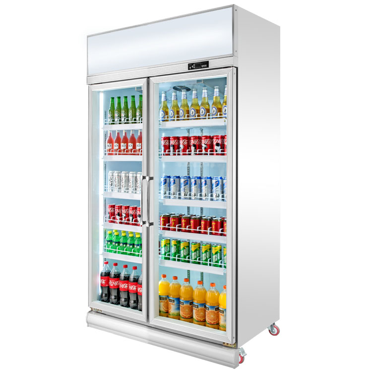 Commercial Cooler Glass Door Display Refrigerator for Beverage Drinks With Led Light