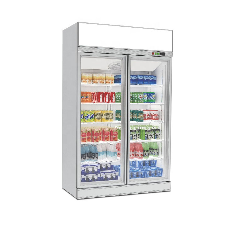 Double Door Display Refrigerator Upright Beverage Cooler Glass Door Chiller Cabinet for Drinks