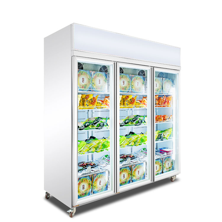 Commercial Cooler Glass Door Display Refrigerator for Beverage Drinks With Led Light