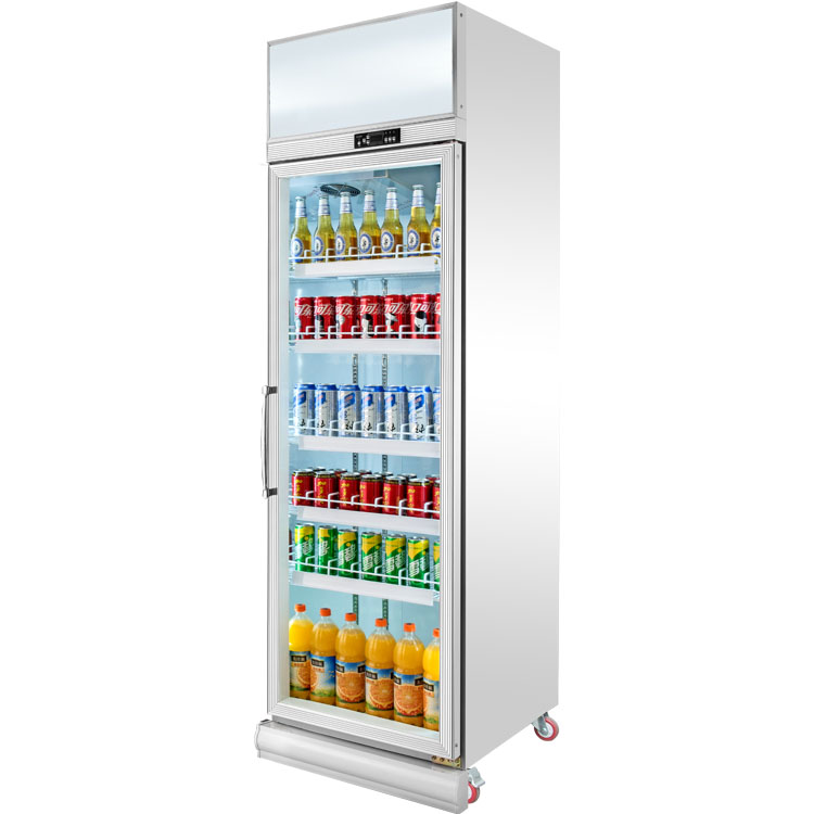 Commercial Cooler Glass Door Display Refrigerator for Beverage Drinks With Led Light