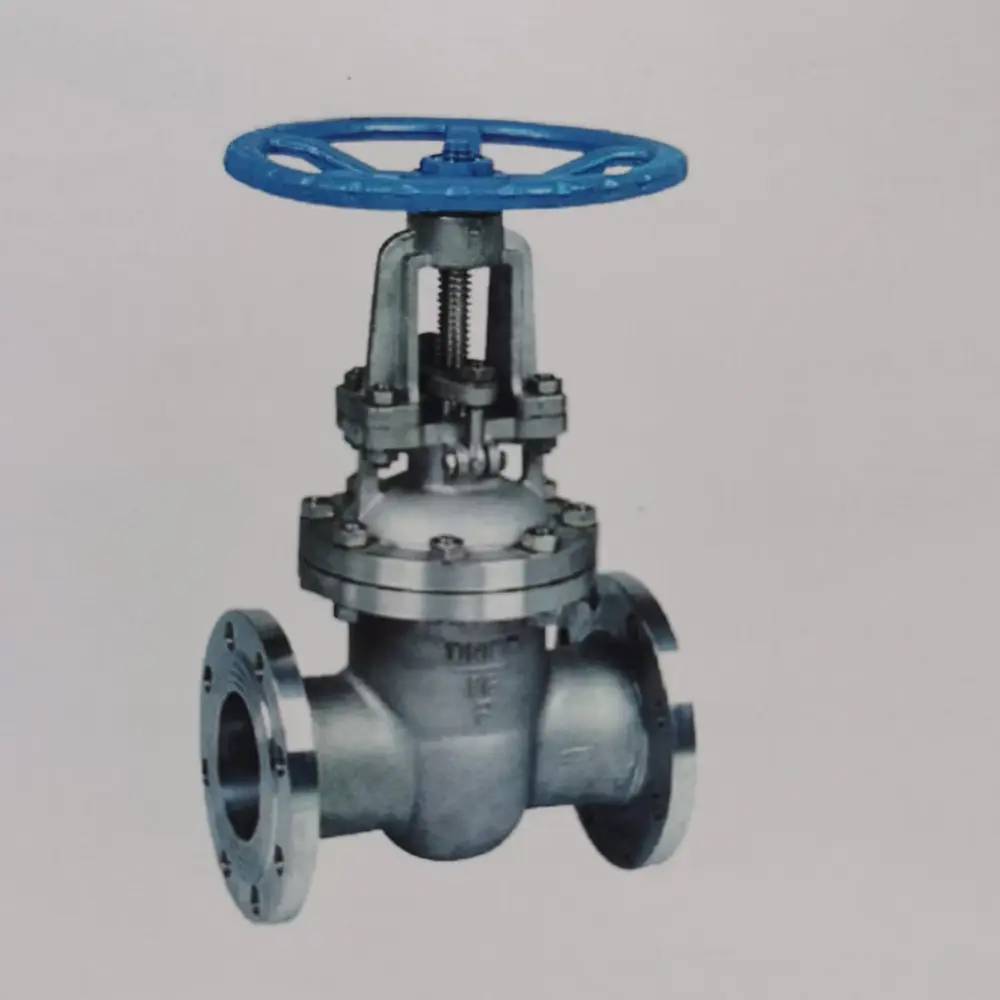 Valve Detail 1
