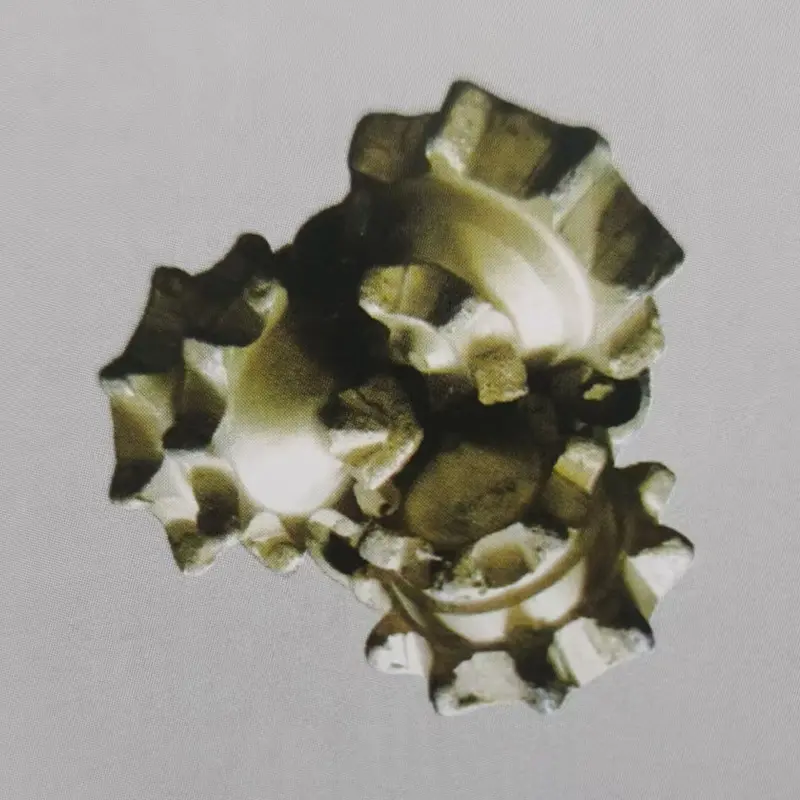 Rock Bit Product Detail 6