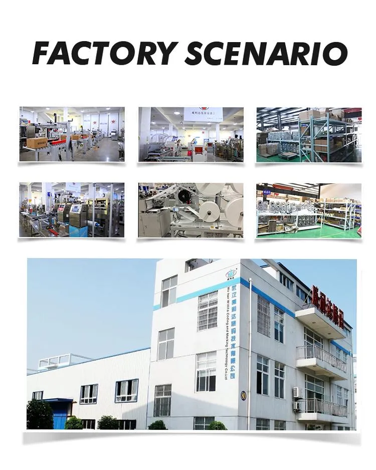 High Speed Durable Automation Factory Price Phone Cell 50W Laser Marking Machine