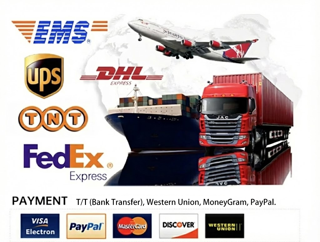 Shipping and Logistics