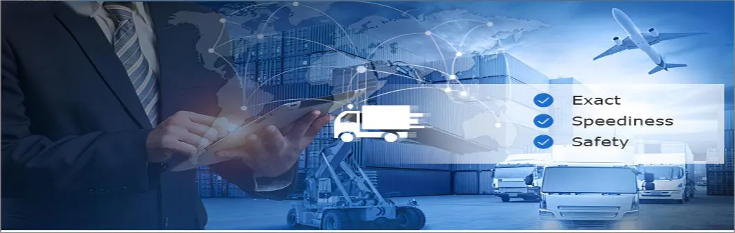 Packaging and Shipping Logistics