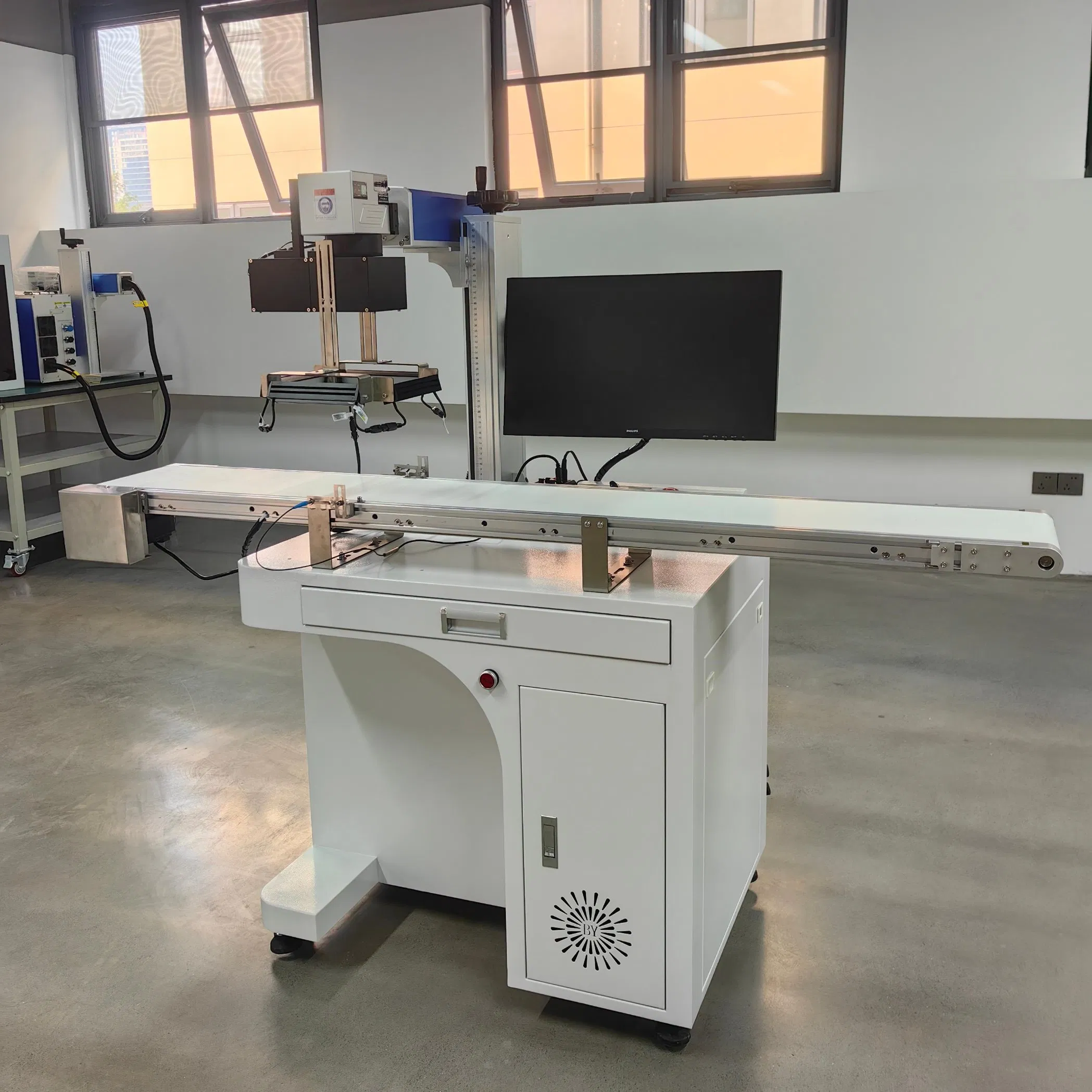 Online Fly Laser Marking Machine Laser Coding Machine Laser Printer with Conveyor Belt for Pipe