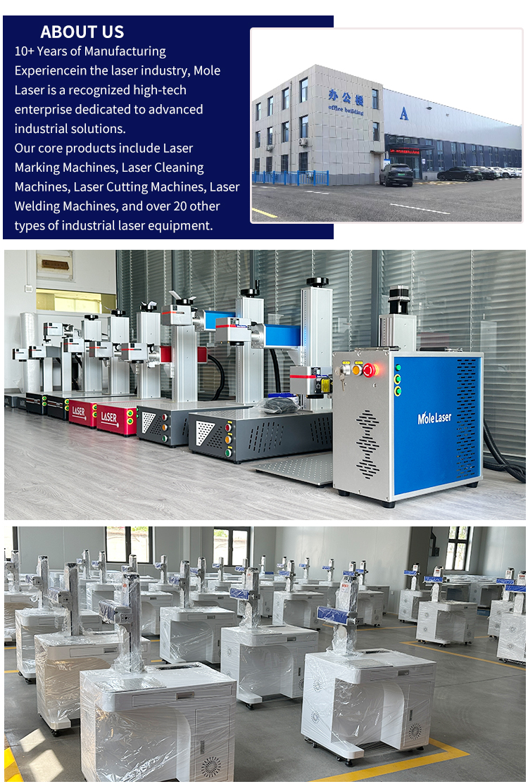 CE-Certified 20W 30W Desktop Fiber Laser Marking Machine Low Price for Jewelry Ring Watch Metal QR Code Logo Engraving