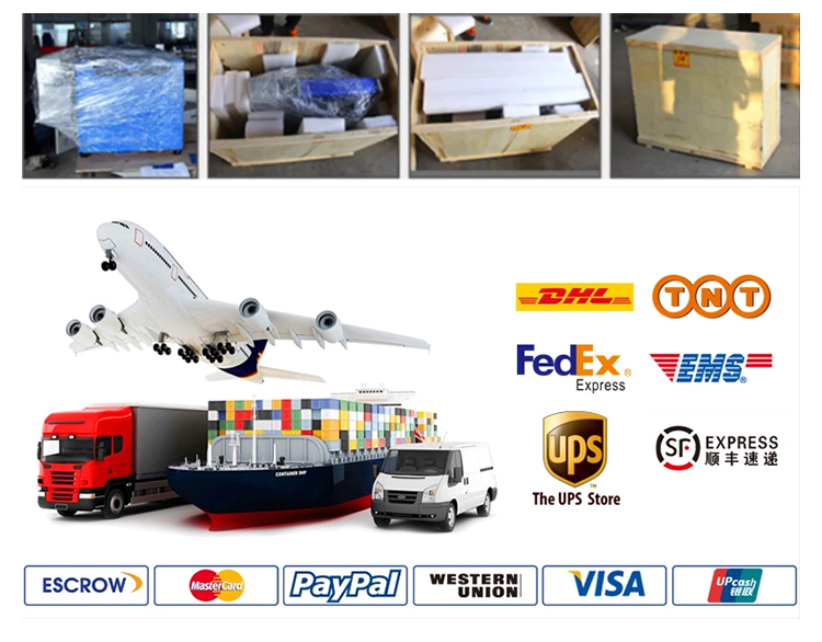 Packaging and Delivery Details