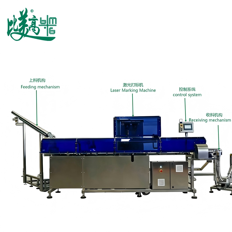 Smart Can Cap Coding Inspection Rejection System with Real-Time Logging and Sort