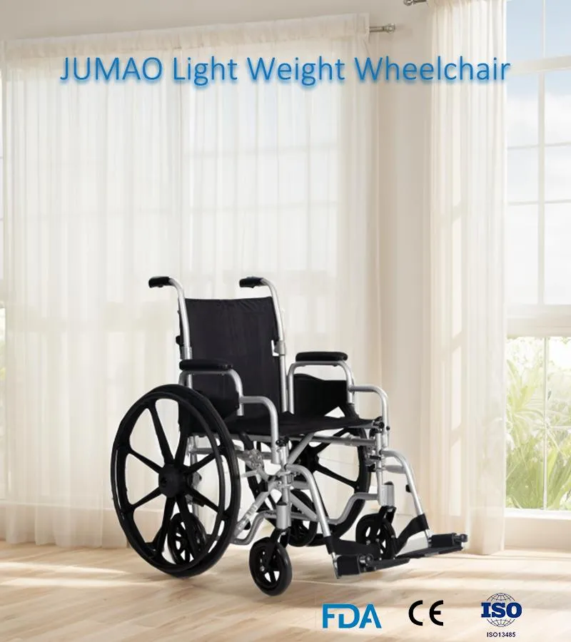 Bariatric Manual Wheelchair Detail