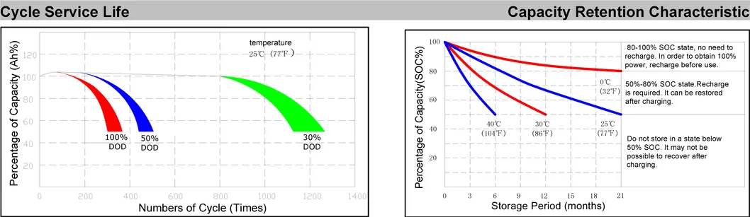 6-EVF-55 Battery Dimensions