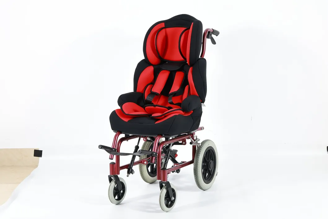 Wheelchair Color Option 1