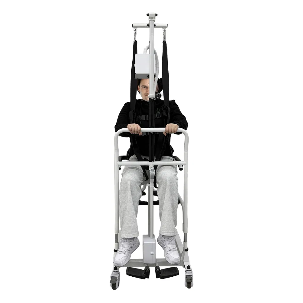Patient Transfer Lift Hoist - New Customized Mobility for Wheelchair Users
