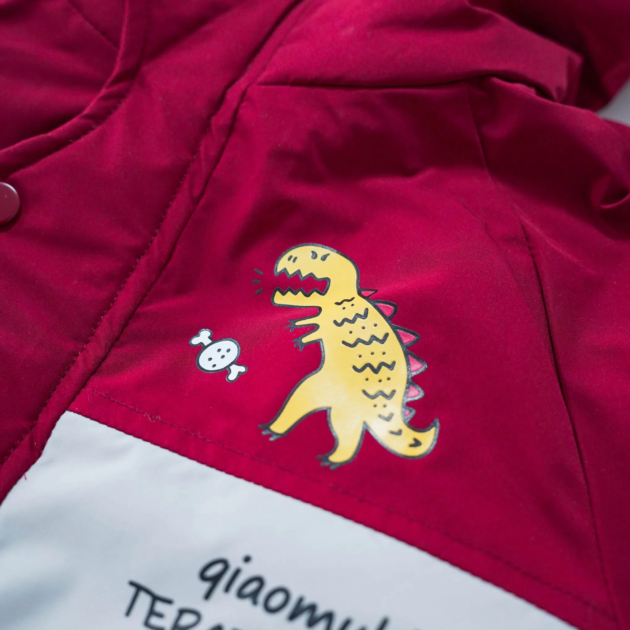 Ropa de abrigo de otoño e invierno para niños con chaqueta con capucha