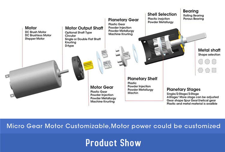 Motor Details