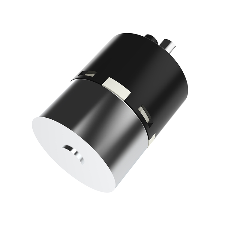 High Precision Low Noise 24mm Planetary DC Gearbox 5V High Torque 12V Gear Motor for Neck Massager