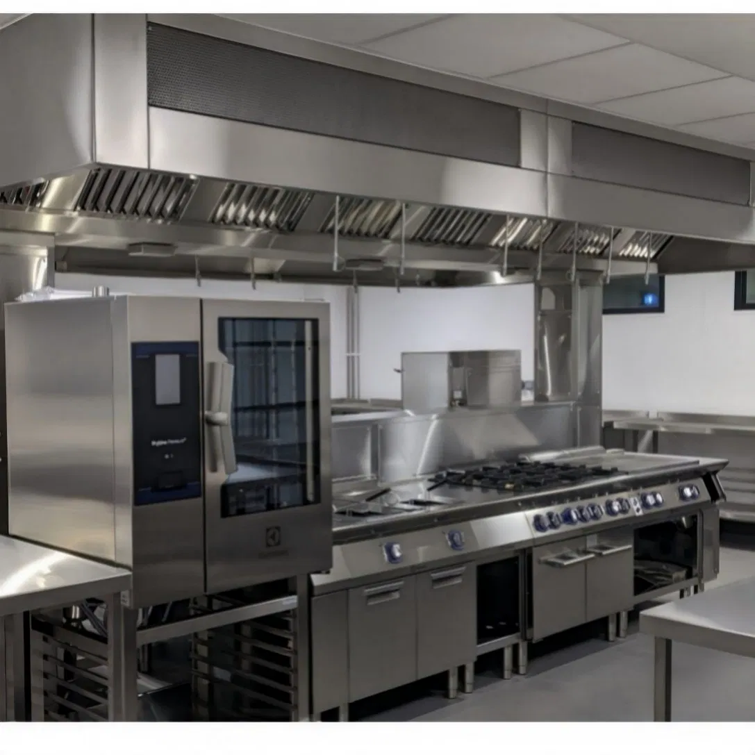 Tailored Kitchen System for Barbecue and Smokehouse Restaurants Featuring Specialized Ventilation and Cooking Suites