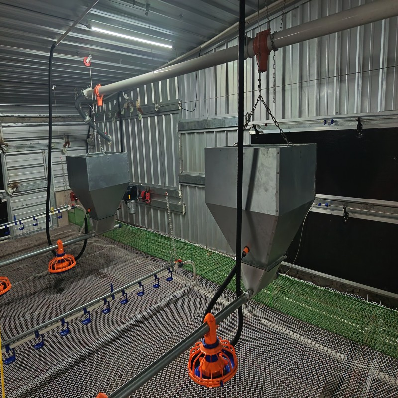 Energy-Efficient Feeding and Drinking Equipment for African Chicken Farms with Anti-Waste and Long-Life Design