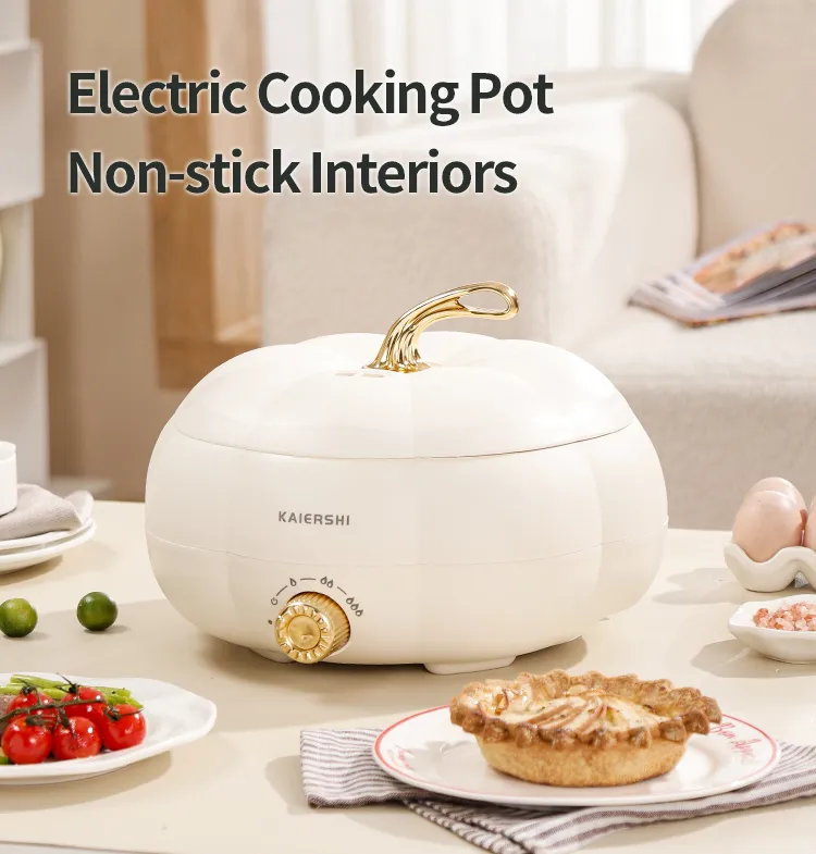 Electric Skillet Details