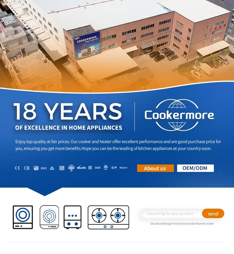 Induction Cooker Overview