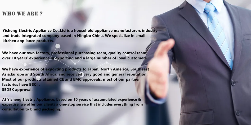 Electric Soup Maker Features