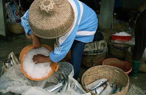 Seawater Ice Maker Case