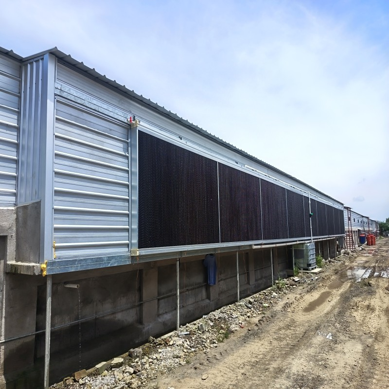 Comprehensive Poultry Farm Equipment for Tropical Regions with Feeding, Drinking, and Energy-Efficient Ventilation Solutions