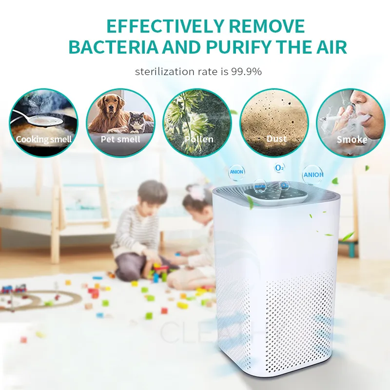 Air Purifier Features