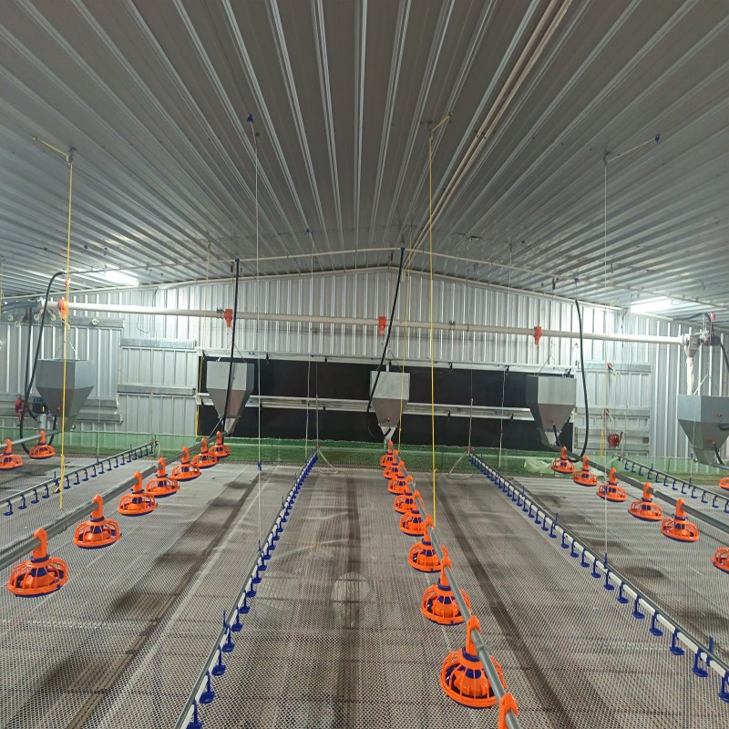 Energy-Efficient Feeding and Drinking Equipment for African Chicken Farms with Anti-Waste and Long-Life Design