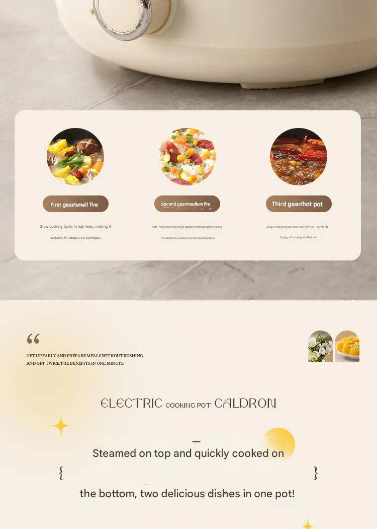 Electric Cooker Detail 7