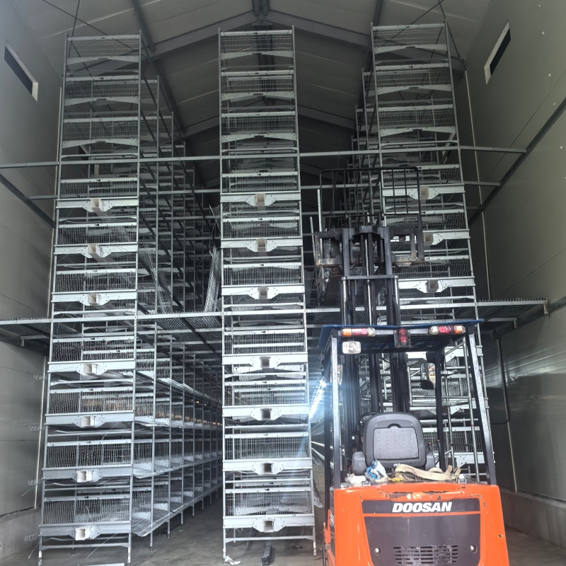 Energy-Efficient Lighting and Ventilation Systems Chicken Cage Equipment