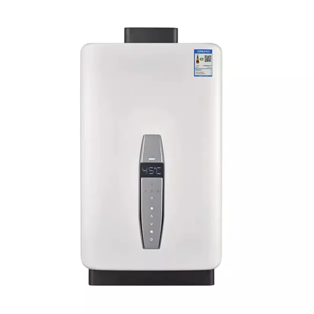 Gas Water Heater