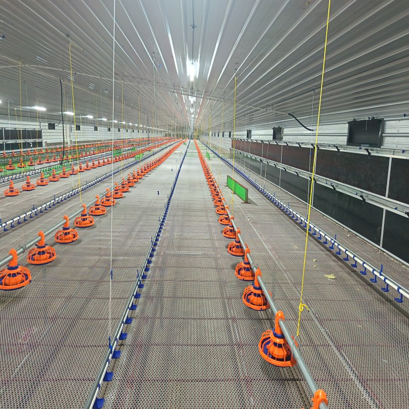 Energy-Efficient Broiler Equipment with Intelligent Air Circulation and Negative Pressure Ventilation Technology.