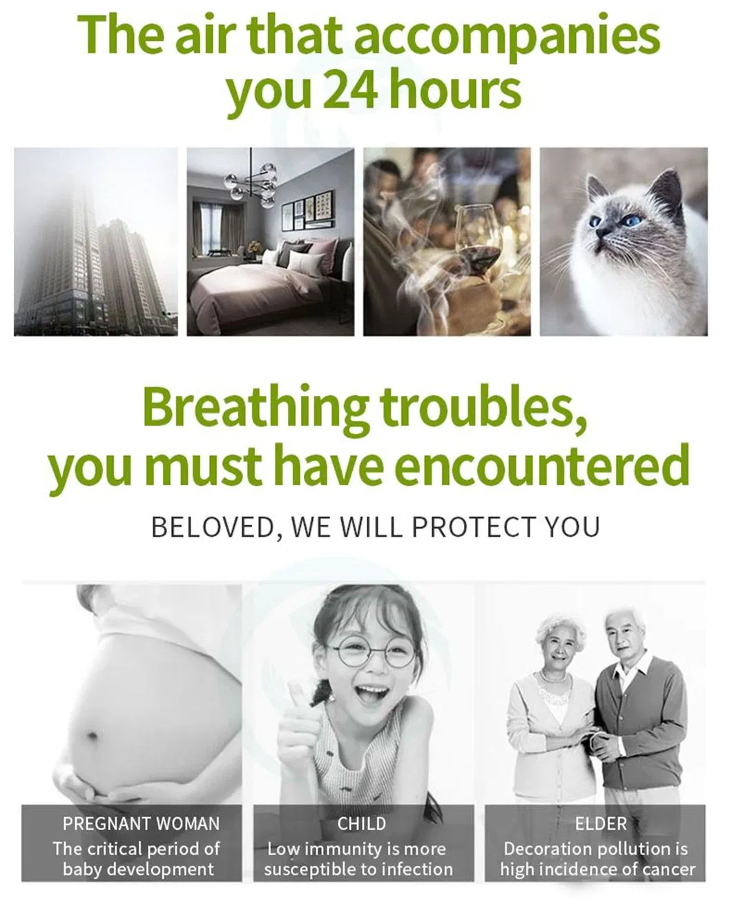 Purification Detail 4