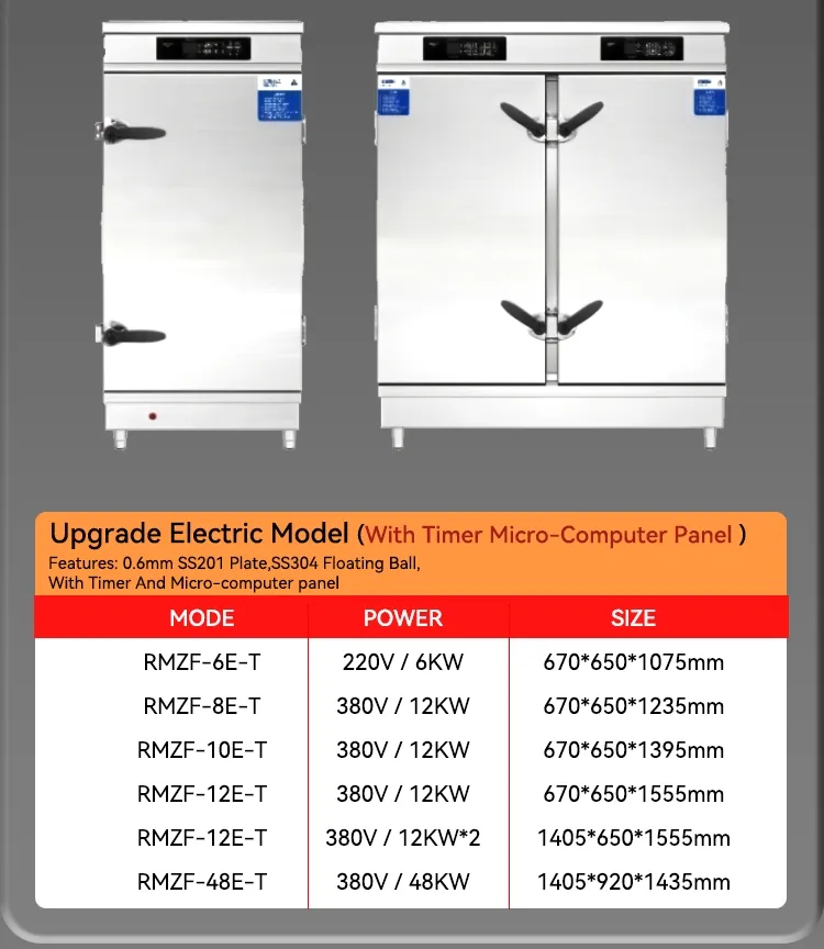 Electric Steamer Details
