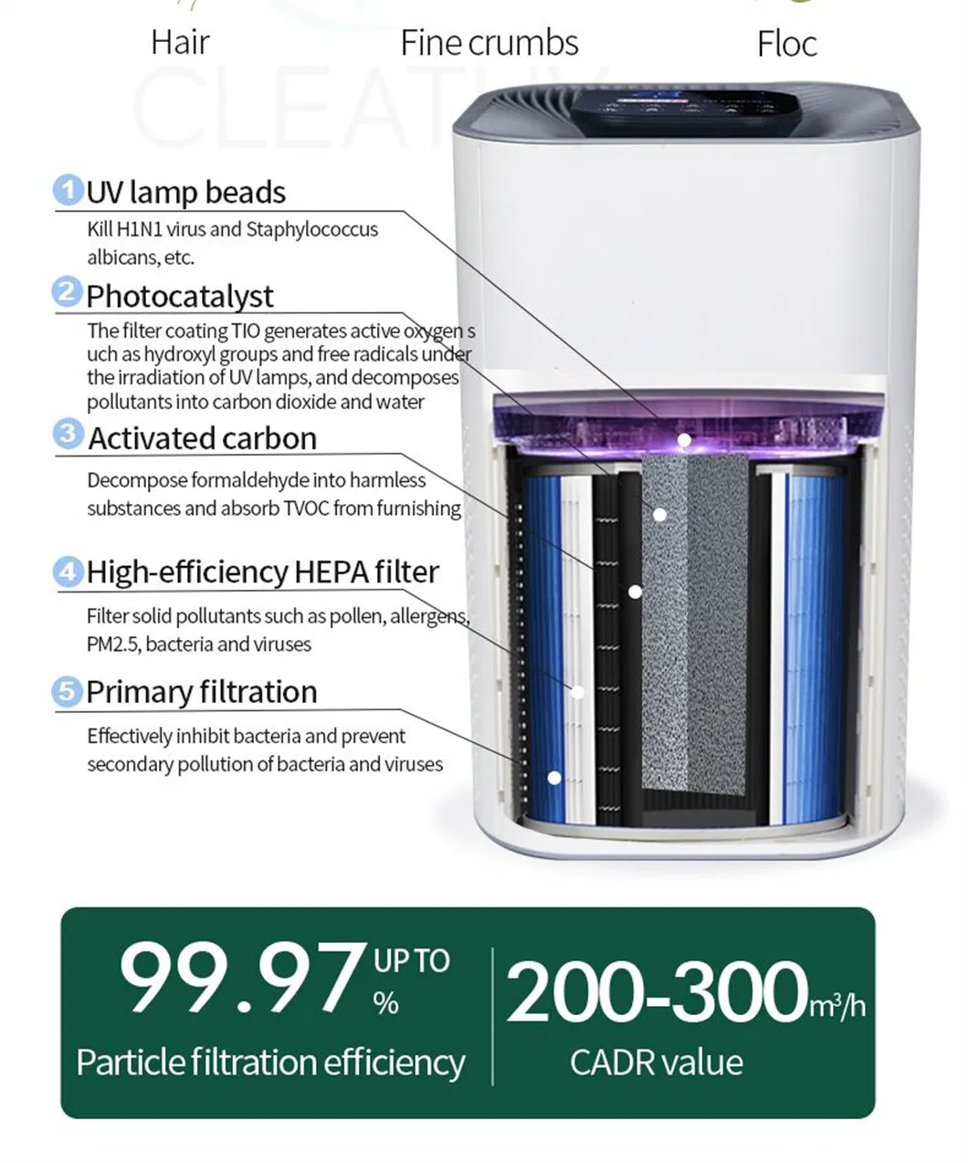 Purification Detail 8