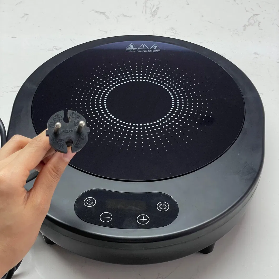 Induction Cooker Overview