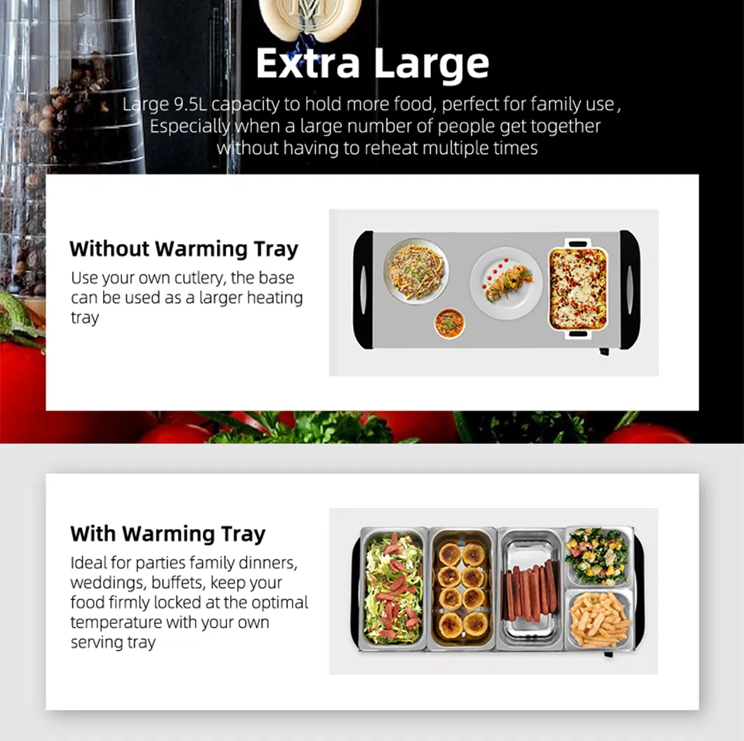 Food Warmer Detail 4