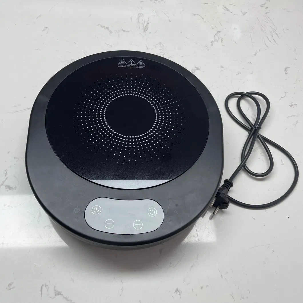 Induction Cooker Detail 1