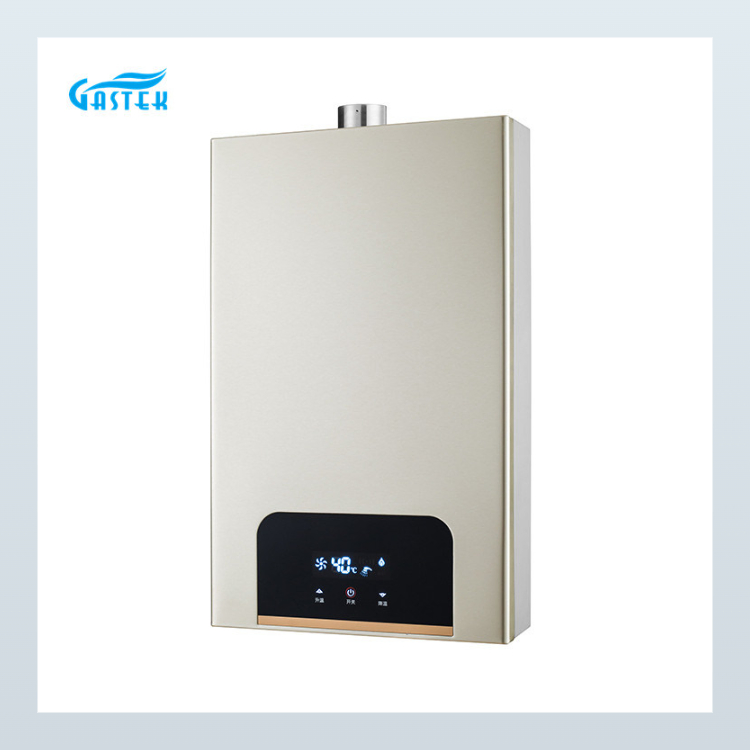 High-Efficiency Gas Geyser for Instant Hot Water Solutions