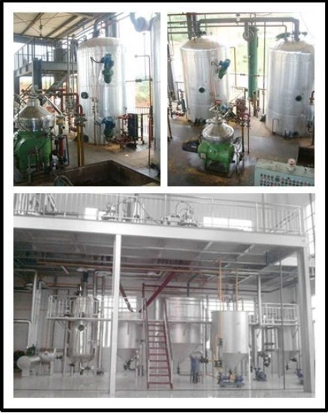Waste Plastic/Tyre Pyrolysis Oil Plant Used Cooking Oil Making Biodiesel Equipment