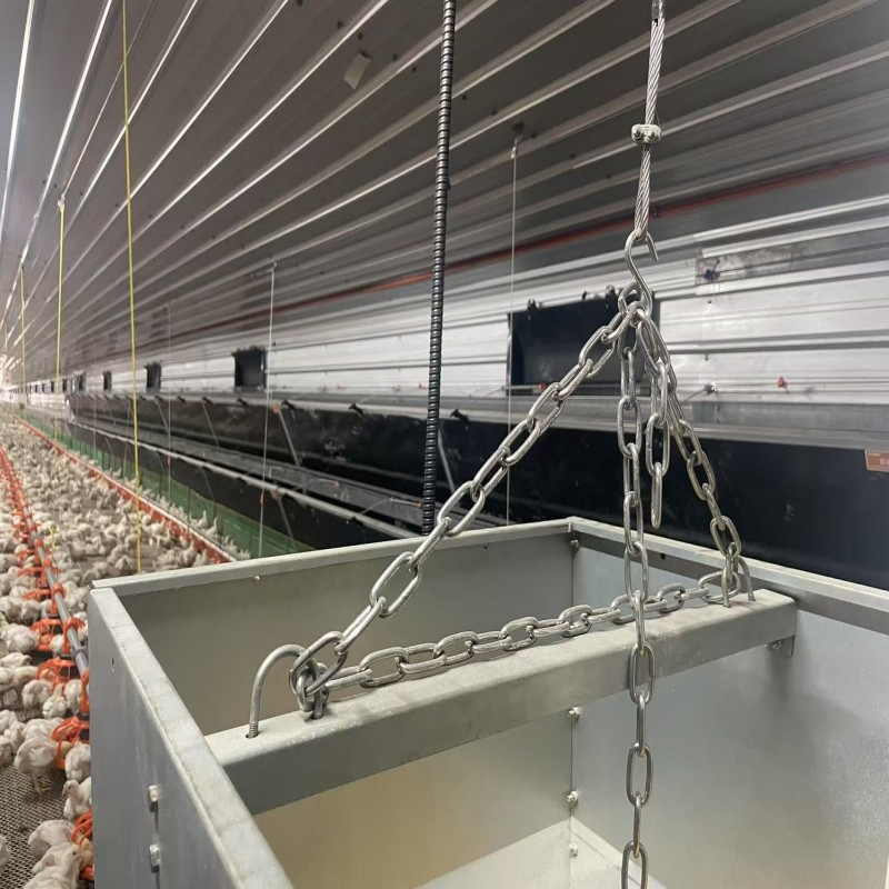 Hot Climate Broiler Equipment with Energy Efficient Design and Deep Litter Structure