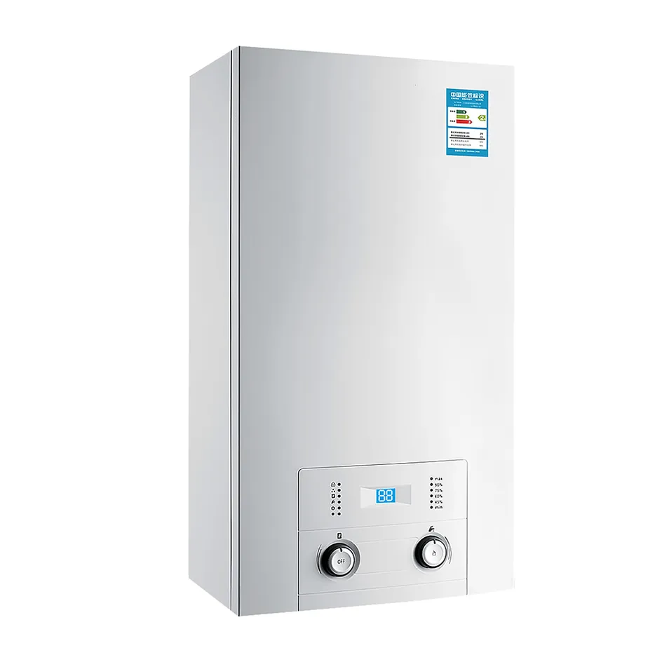 Gas Boiler Internal View