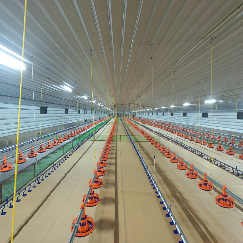 Comprehensive Poultry Farm Equipment for Tropical Regions with Feeding, Drinking, and Energy-Efficient Ventilation Solutions