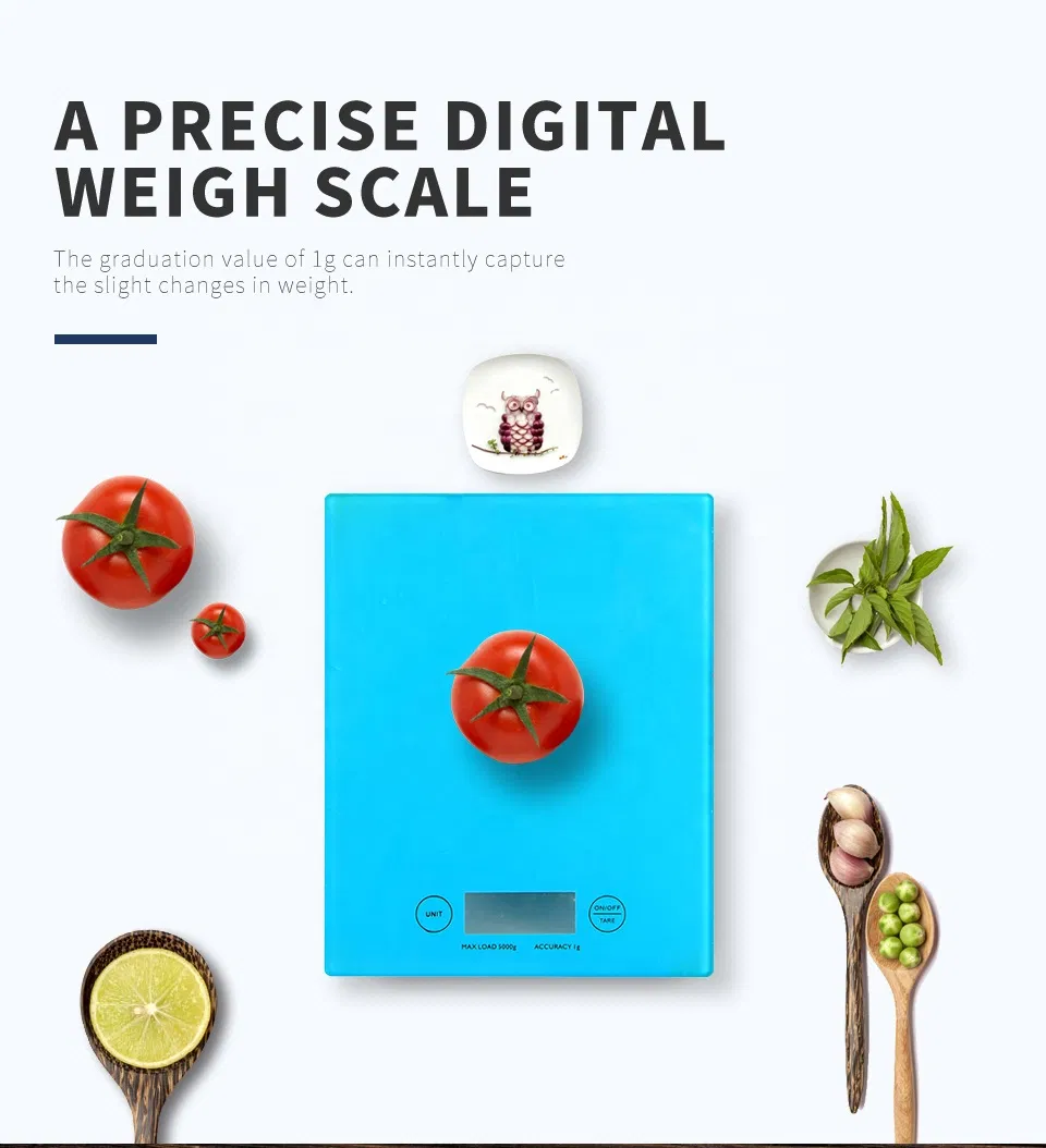 Detailed Scale View 1