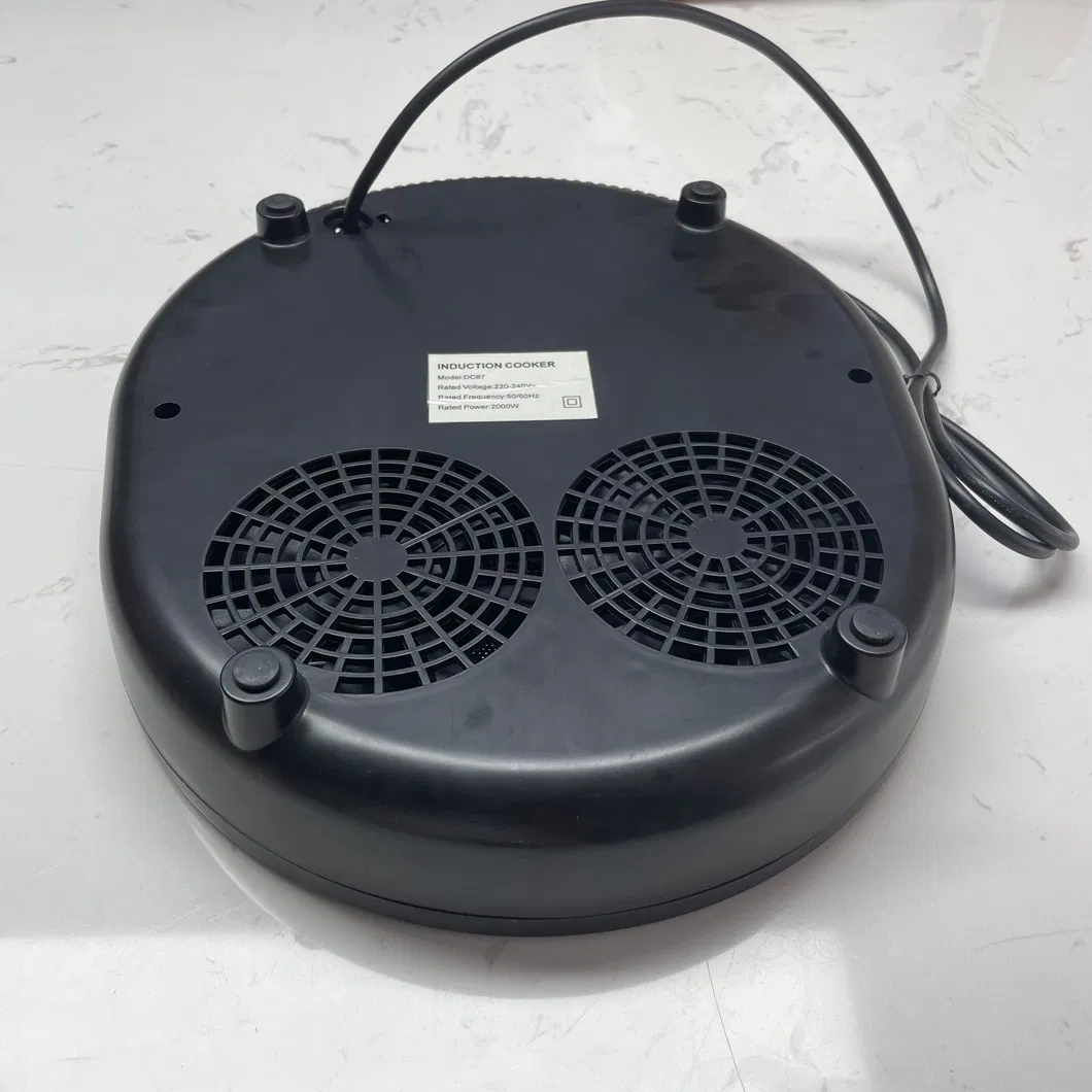 Induction Cooker Detail 2