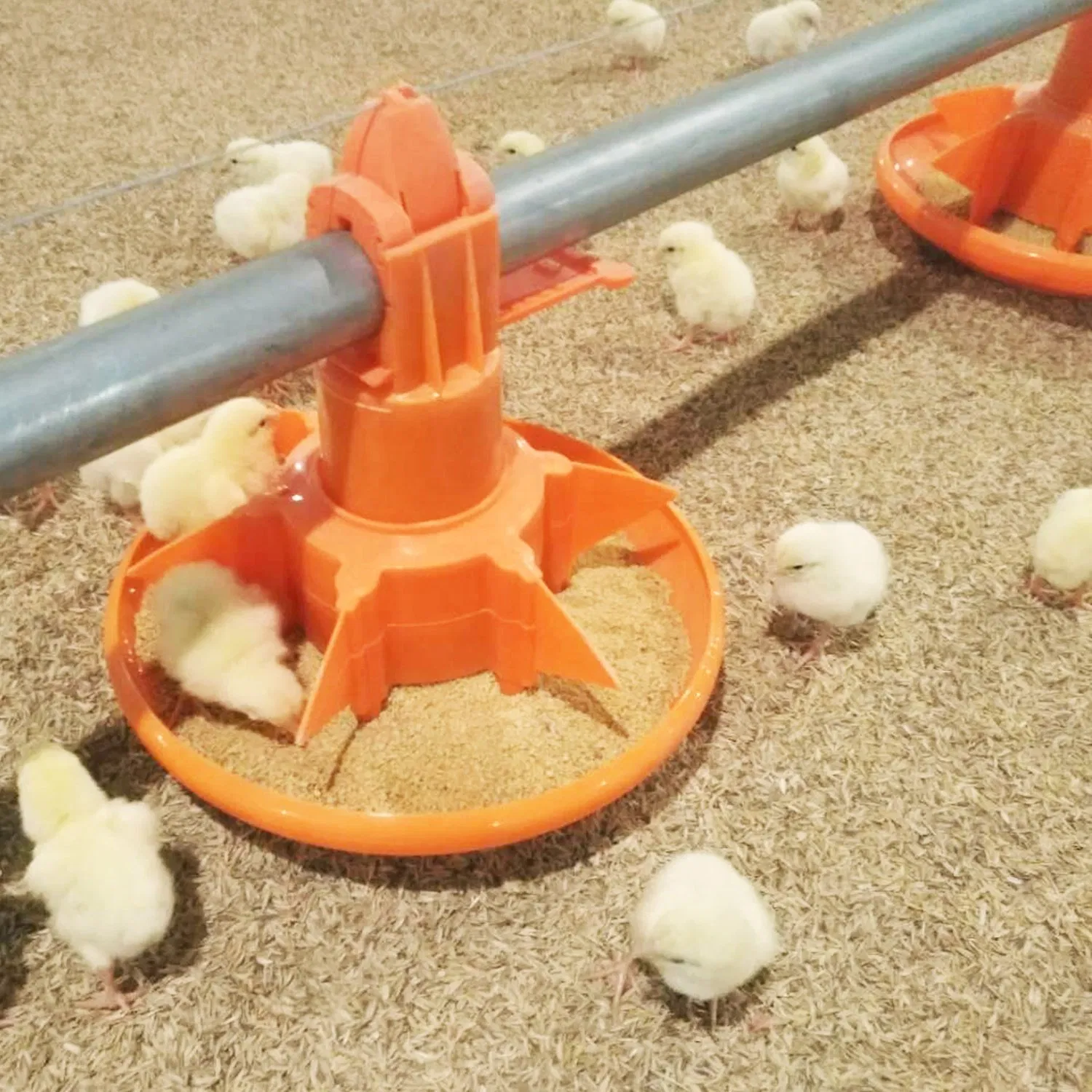 Poultry Equipment Broiler Feed Pan Without Grill