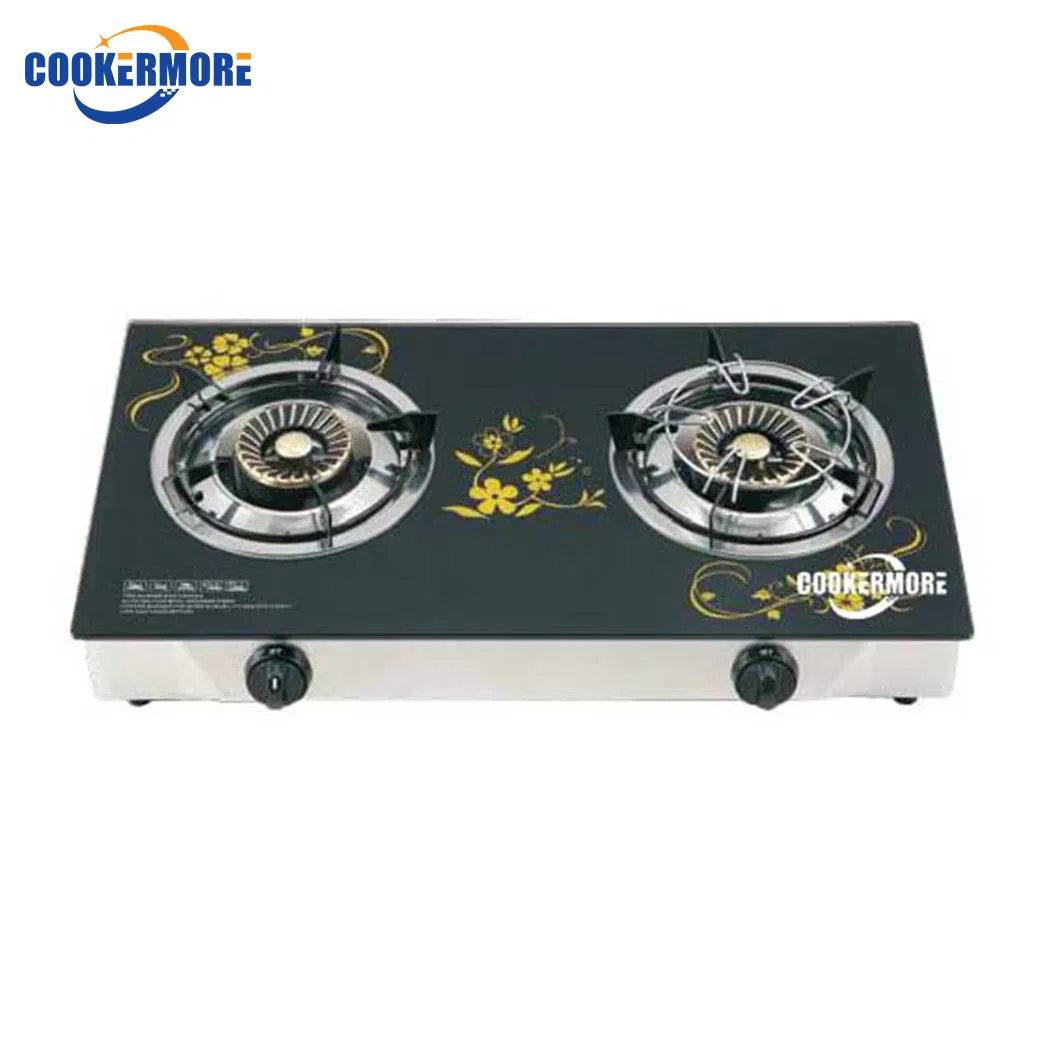 Electronic Gas Stove
