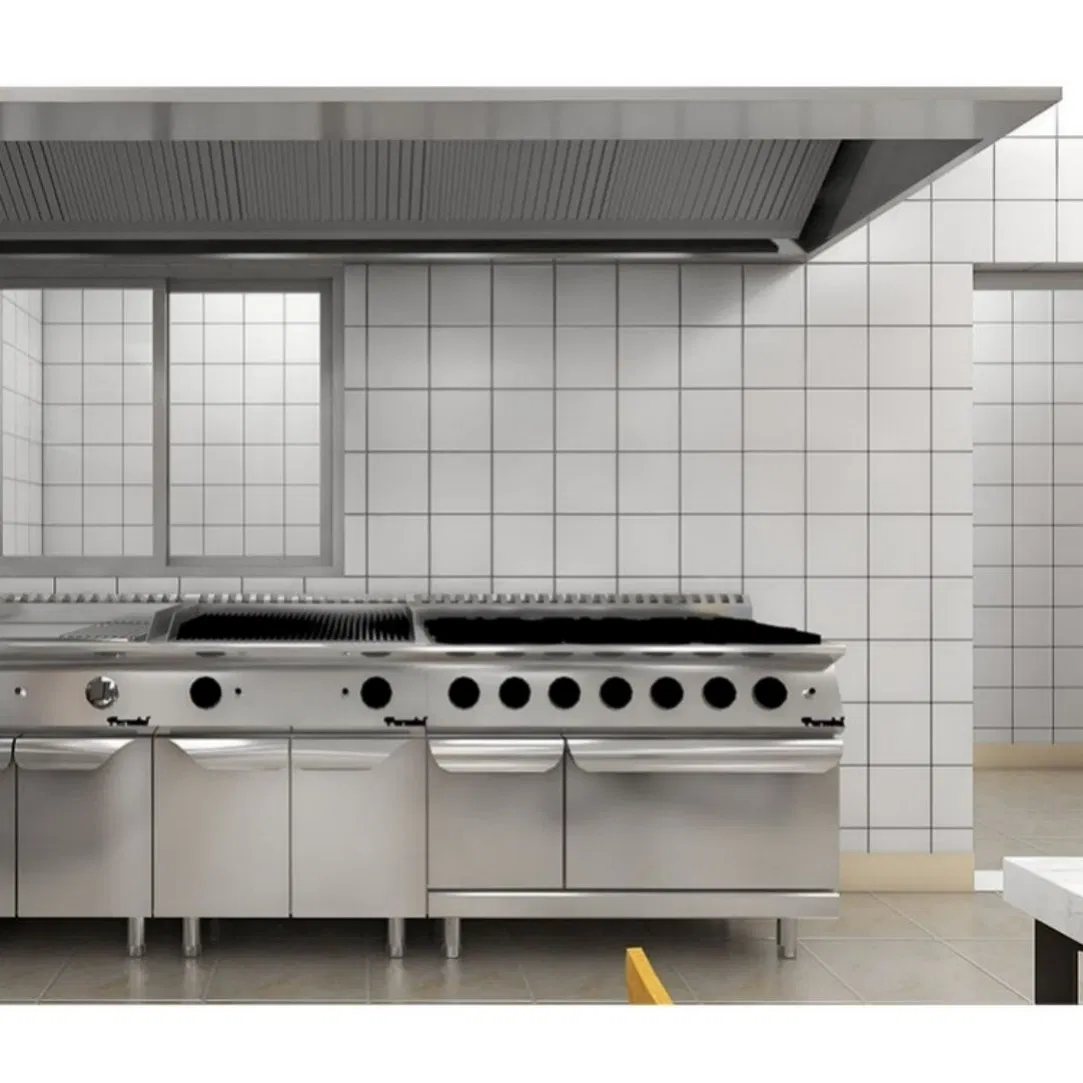 Full Customization Service for Commercial Kitchen Ventilation Hoods and Fire Suppression Systems to Meet Local Codes